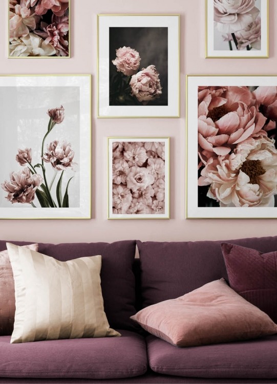  – Photograph of a bunch of pink tulips in full bloom against a grey background