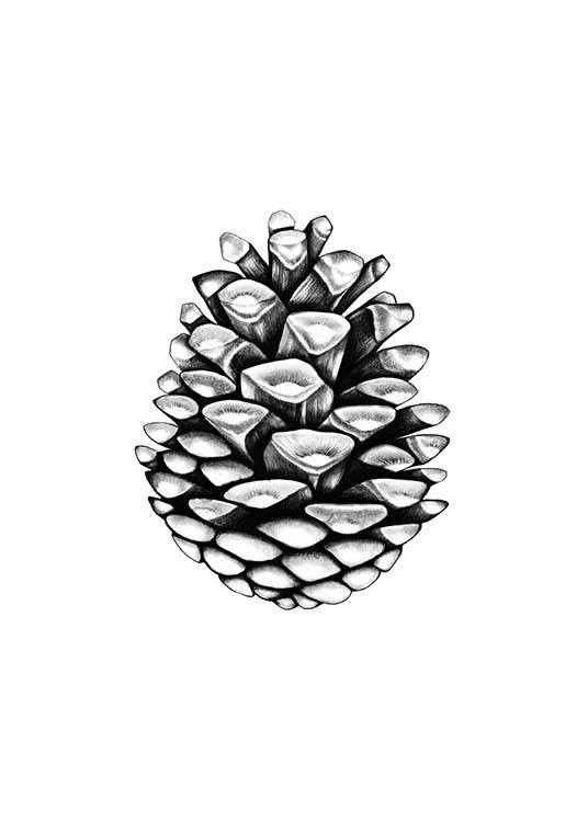 Pinecone Poster