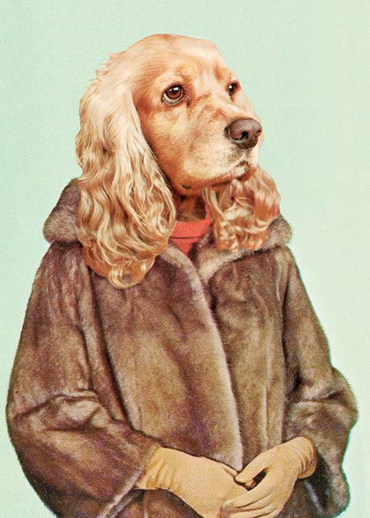 Lady Dog Poster