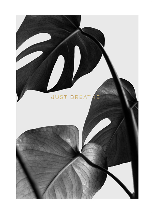 Remember To Breathe Poster