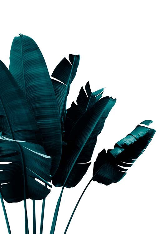 Green Banana Leaves Poster