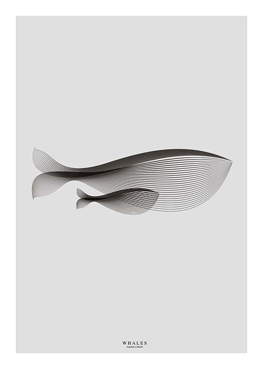 Whales In Moiré Poster