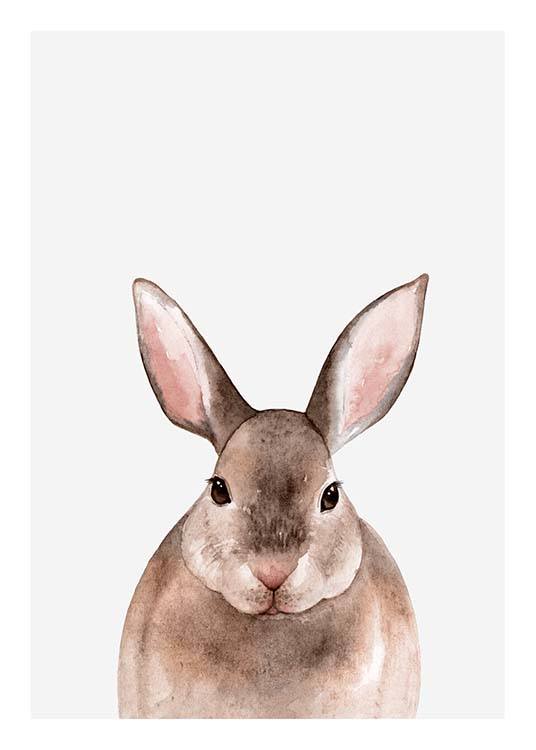 Little Rabbit Poster