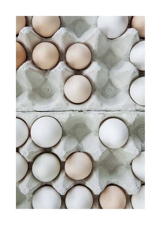 Eggs In A Box No1 Poster