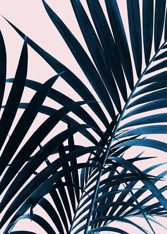 Blue Leaves On Pink No2 Poster