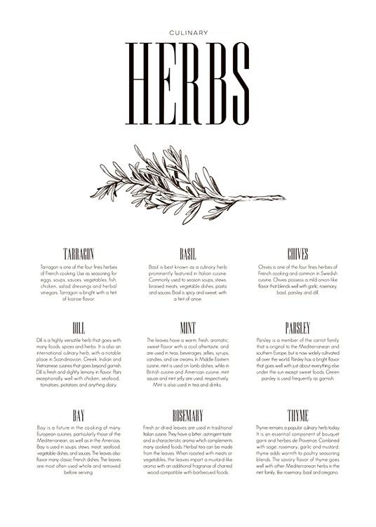 Herbs Type, Poster