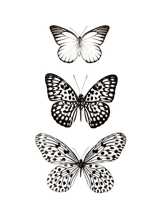 Three Butterflies, Posters
