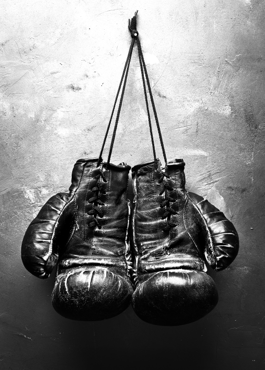 Print With Boxing Gloves Black And White Photo Art Photo Print   8107 2 