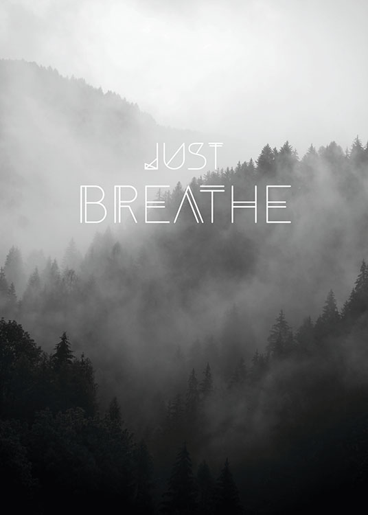 Just Breathe, Poster