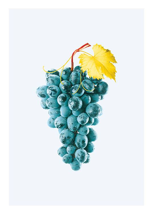 Blue Grapes, Poster