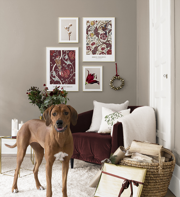 Cosy Christmas